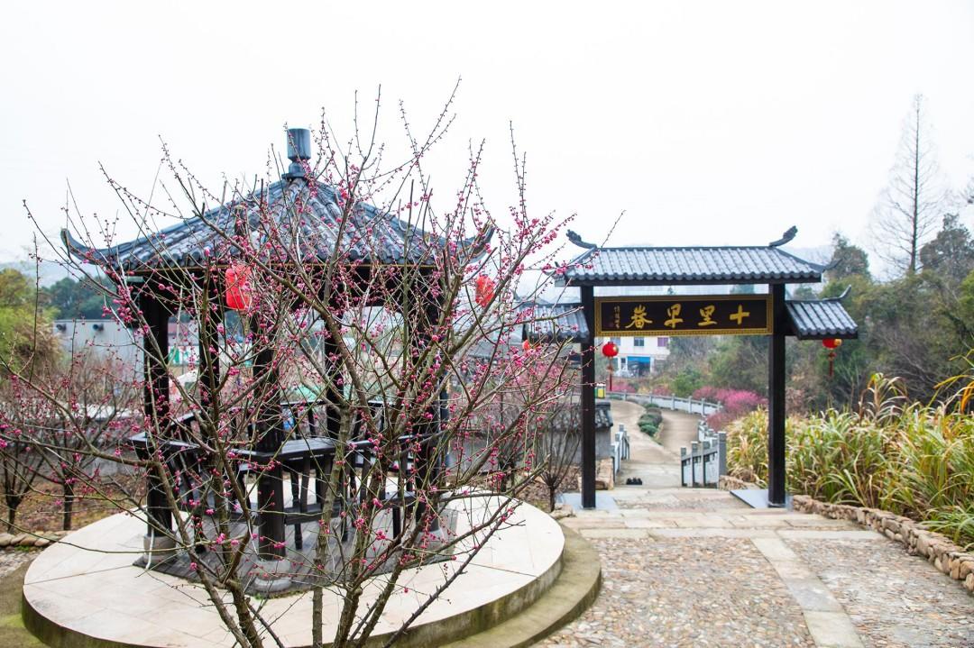 南城街道方山下宋韵古道(图2) 南城街道方山下宋韵古道(图2)