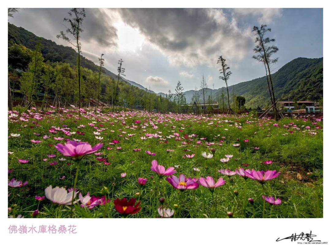 沙埠镇佛岭省级森林公园(图3)