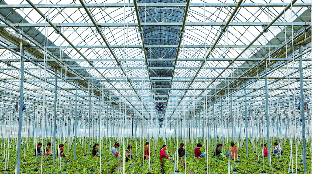 台州市黄岩北洋镇森野生态农庄(图2) 台州市黄岩北洋镇森野生态农庄(图2)