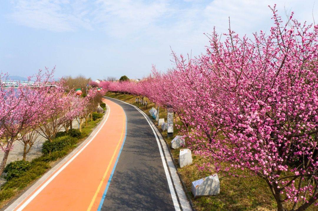 黄岩澄江街道中国柑橘博览园(图6)