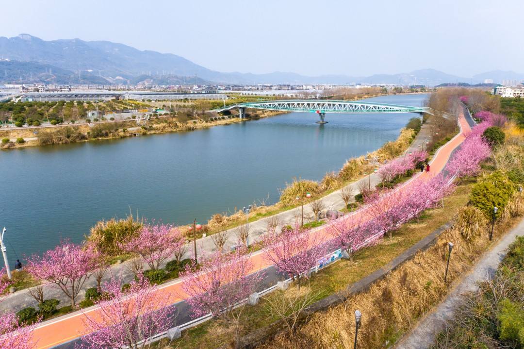 黄岩澄江街道中国柑橘博览园(图7)