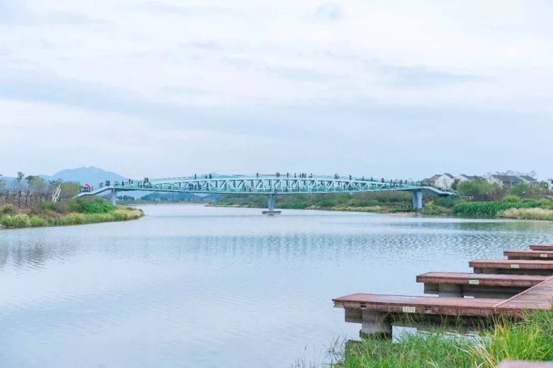 黄岩澄江街道中国柑橘博览园(图8)