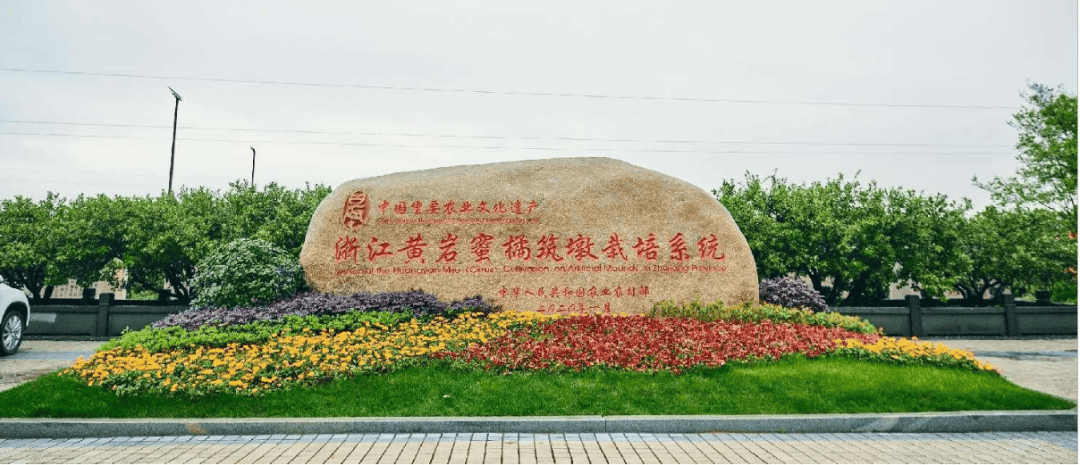 黄岩澄江街道中国柑橘博览园(图1)