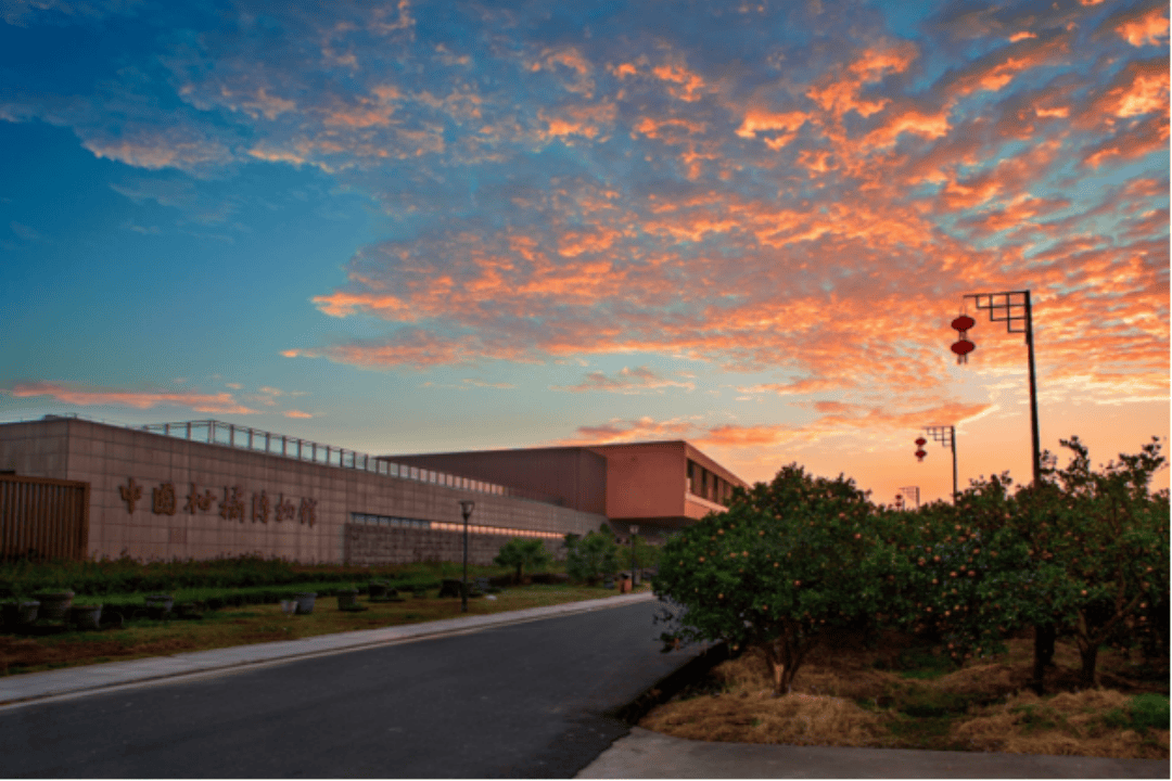 黄岩澄江街道中国柑橘博览园(图2)