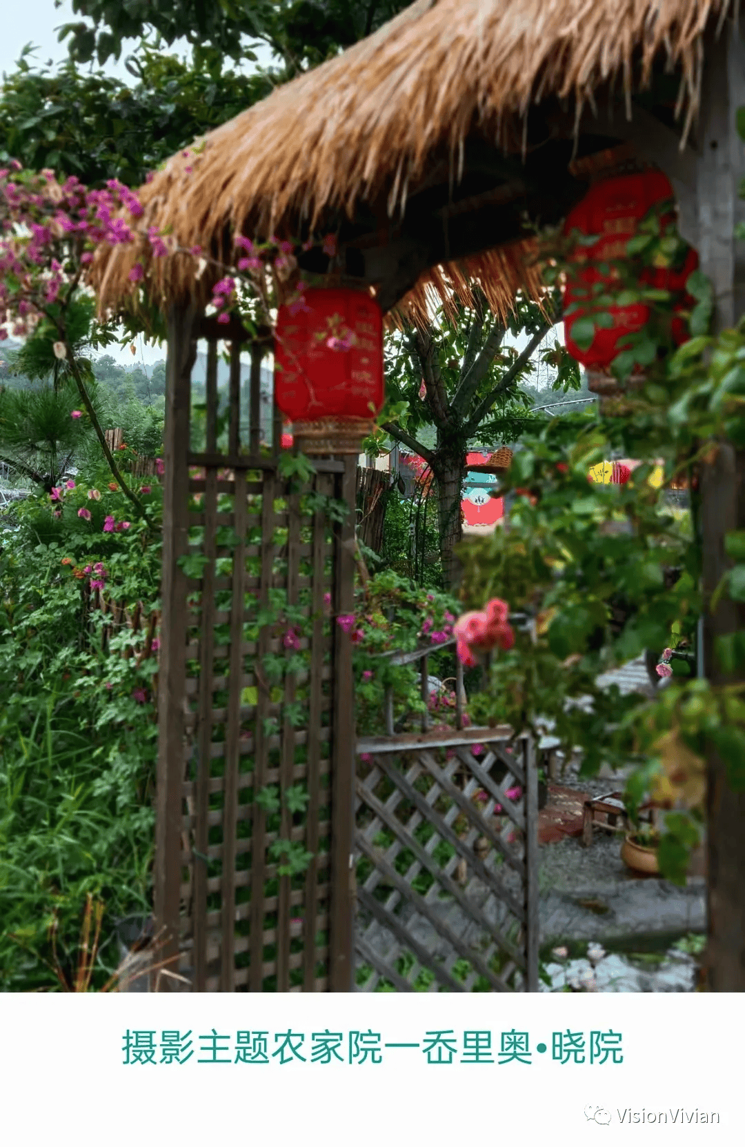 黄岩区院桥镇岙里奥·晓院(图2) 黄岩区院桥镇岙里奥·晓院(图2)