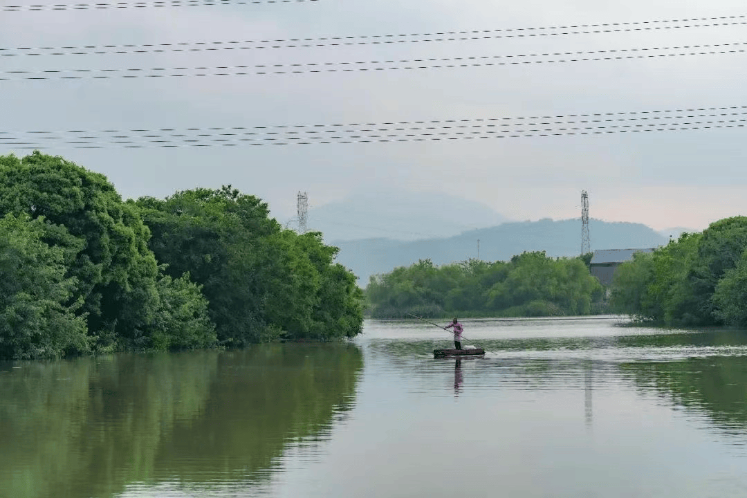 黄岩区鉴洋湖城市湿地公园(图4)