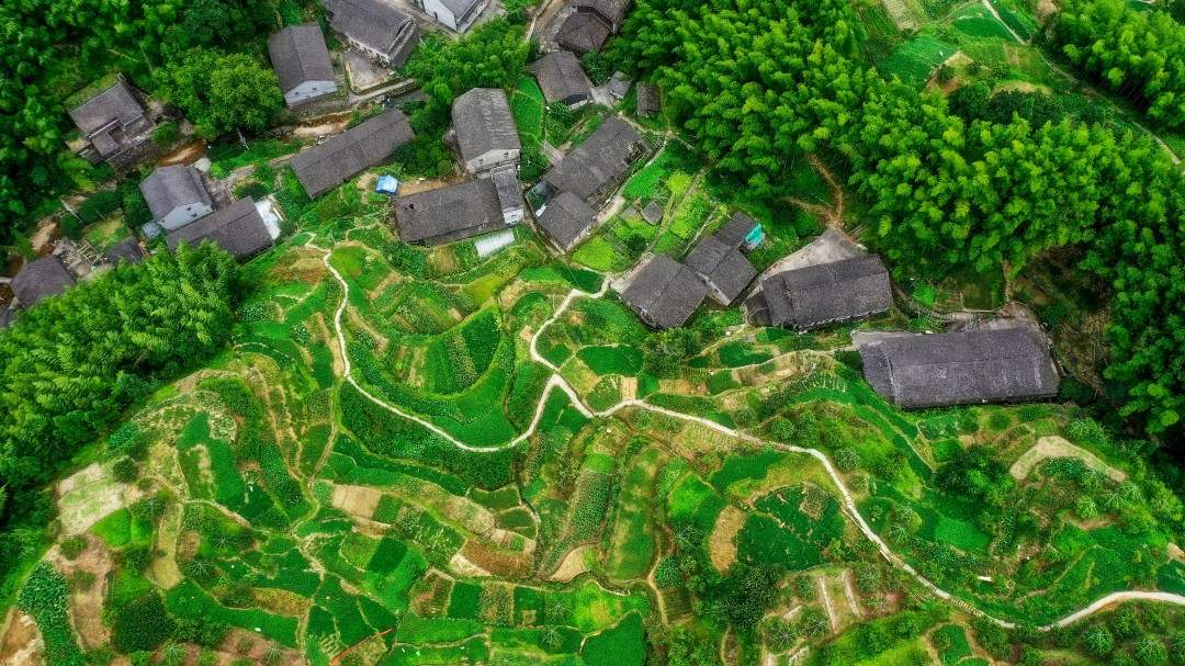 黄岩屿头乡布袋坑古村古街(图2) 黄岩屿头乡布袋坑古村古街(图2)