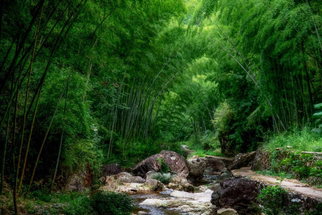 黄岩屿头乡布袋坑古村古街(图3) 黄岩屿头乡布袋坑古村古街(图3)