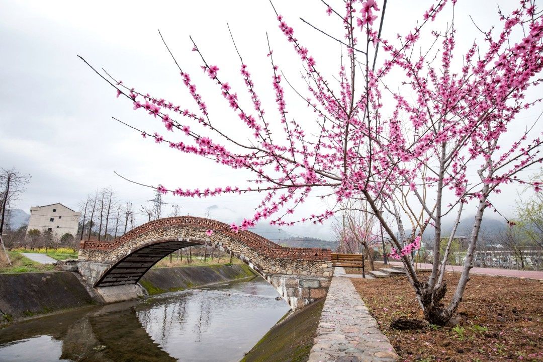 黄岩区宁溪镇白鹭湾版画村(图5)