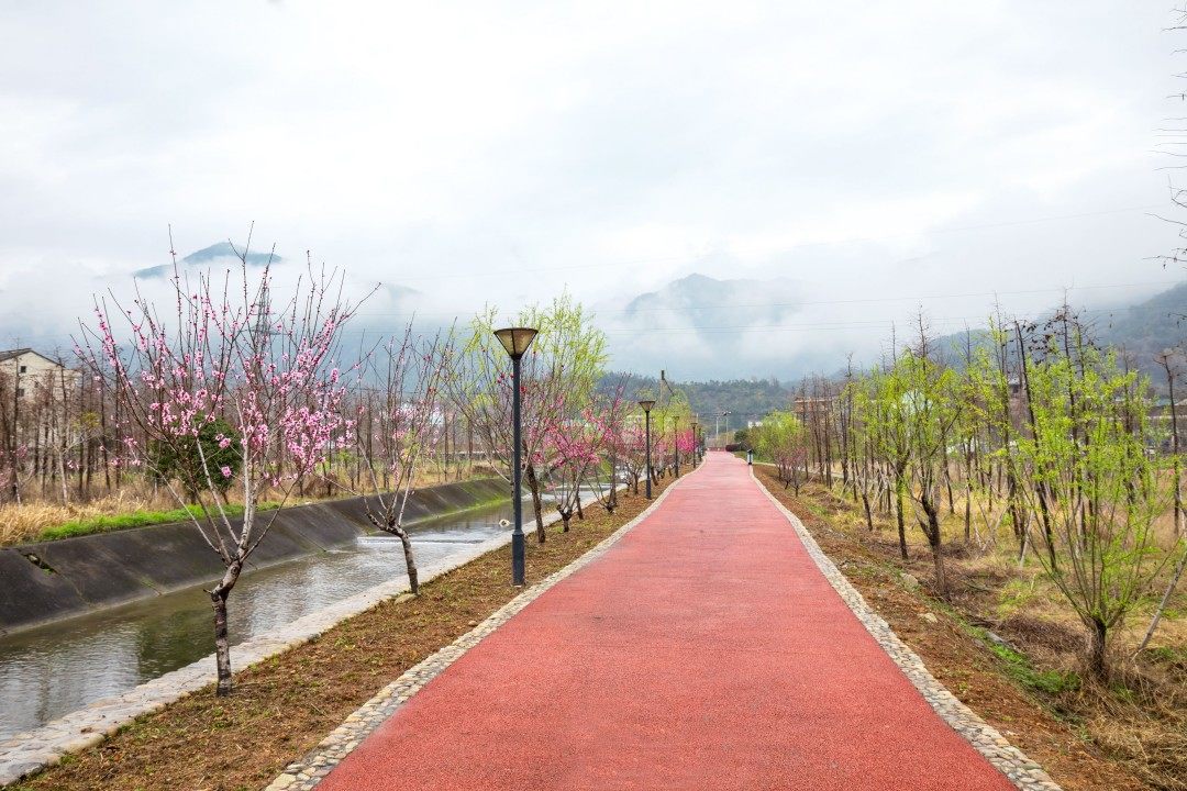 黄岩区宁溪镇白鹭湾版画村(图8)