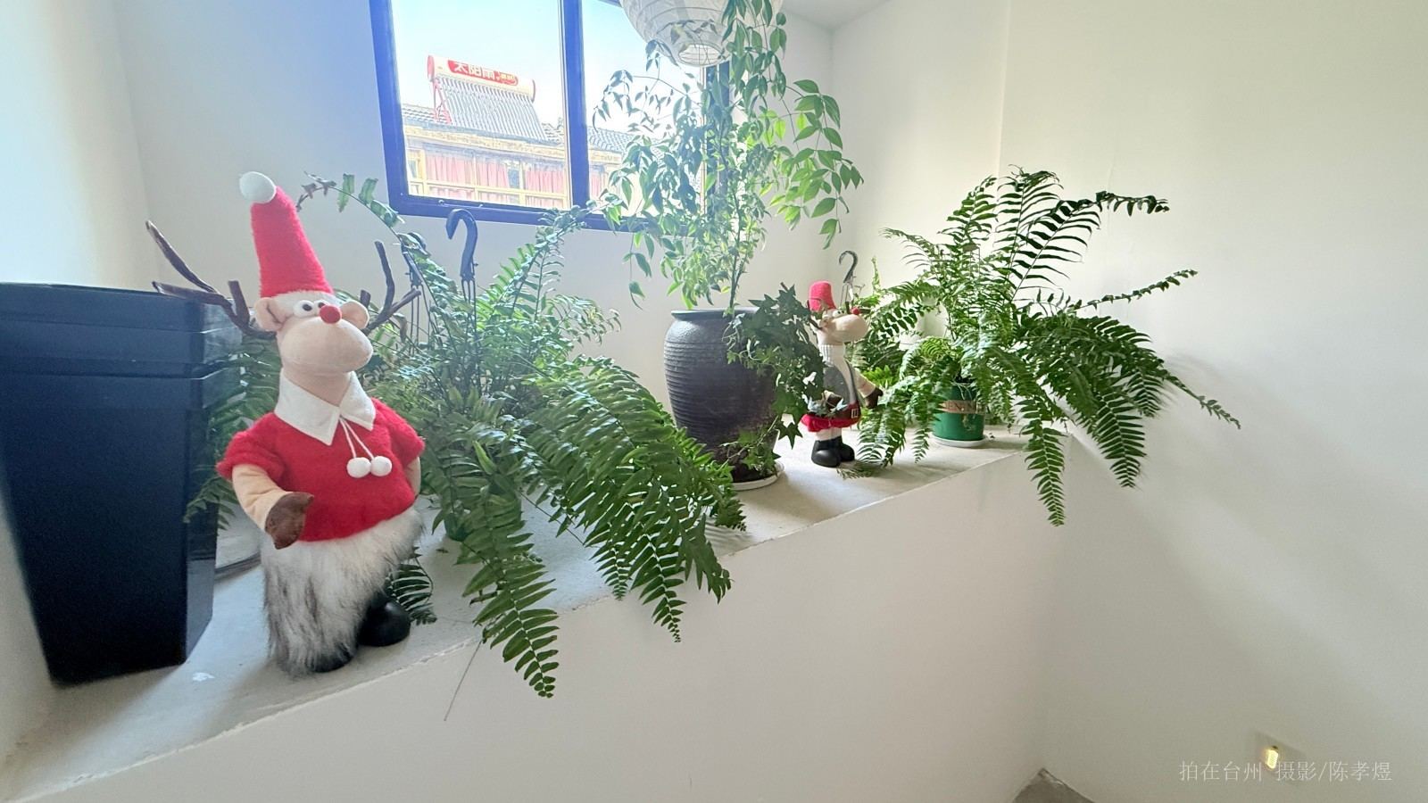 天台四方塘路椿瑾餐食(图8)