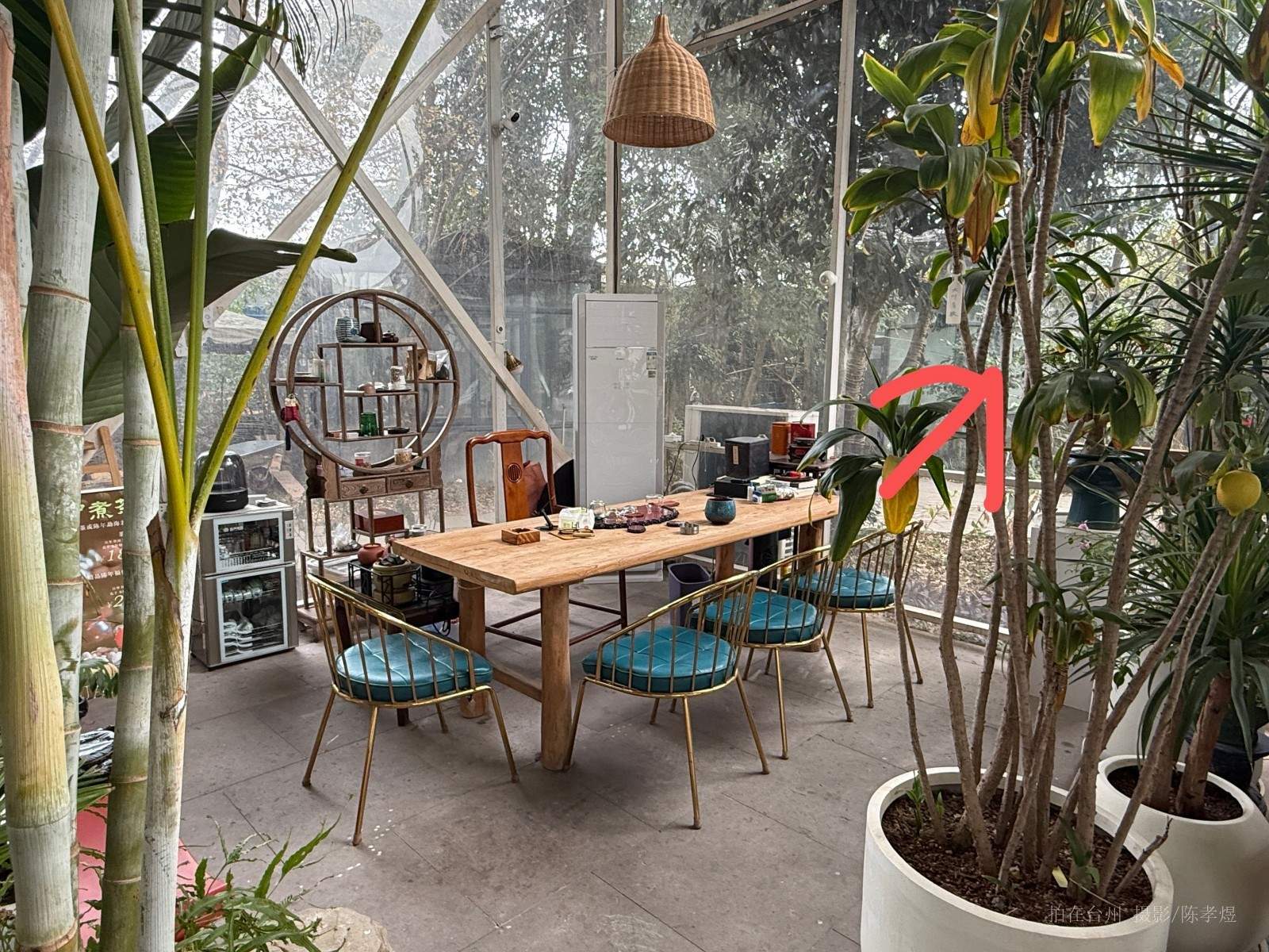 天台杨家山一号公园(图24) 天台杨家山一号公园(图24)