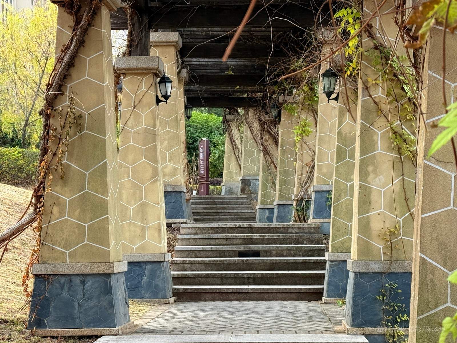 天台杨家山一号公园(图21) 天台杨家山一号公园(图21)