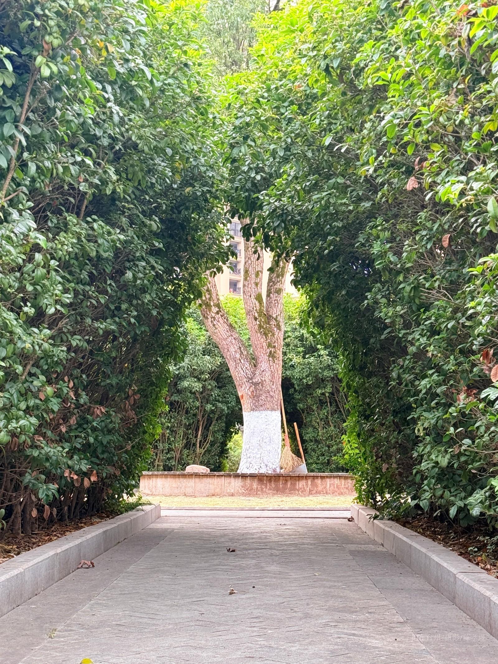 天台杨家山一号公园(图14) 天台杨家山一号公园(图14)