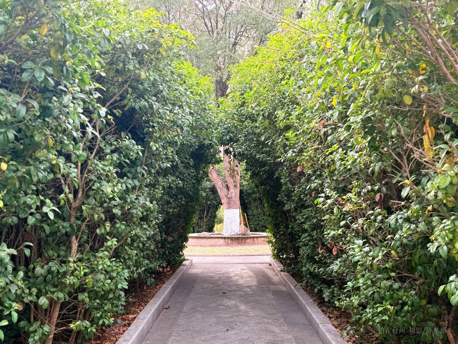 天台杨家山一号公园(图19) 天台杨家山一号公园(图19)