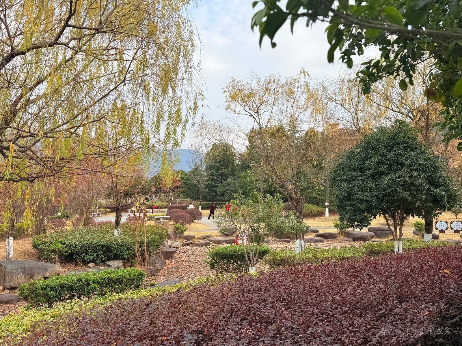 天台杨家山一号公园(图15) 天台杨家山一号公园(图15)