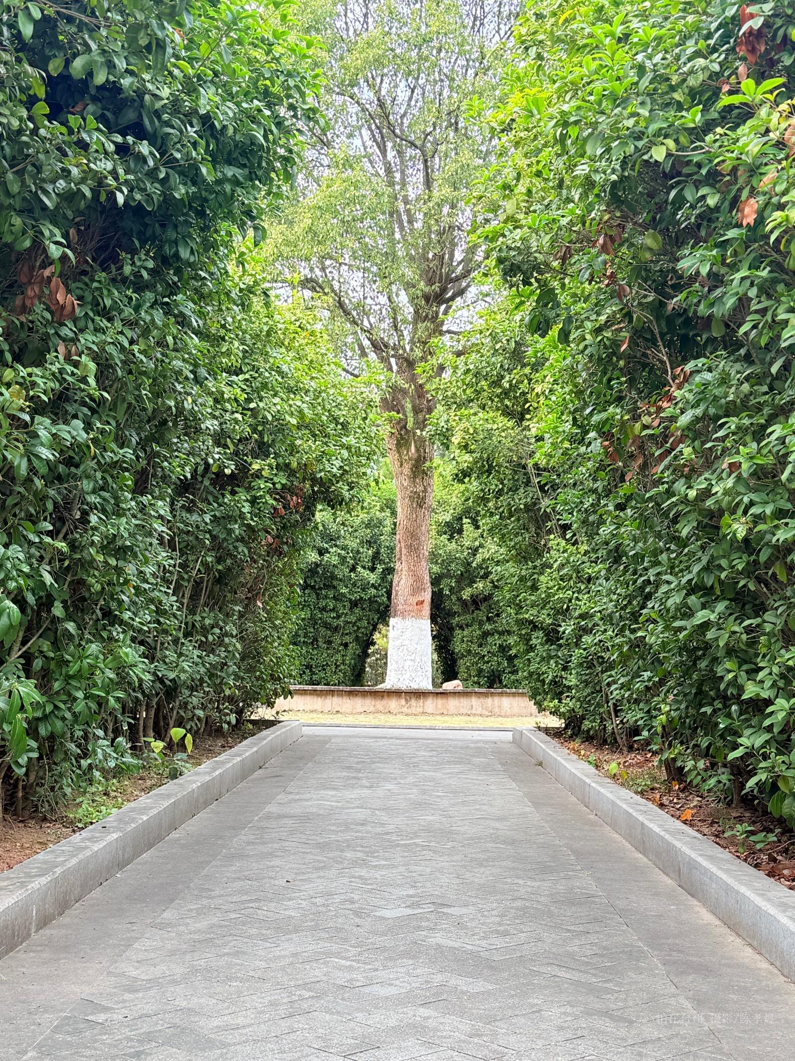 天台杨家山一号公园(图16) 天台杨家山一号公园(图16)