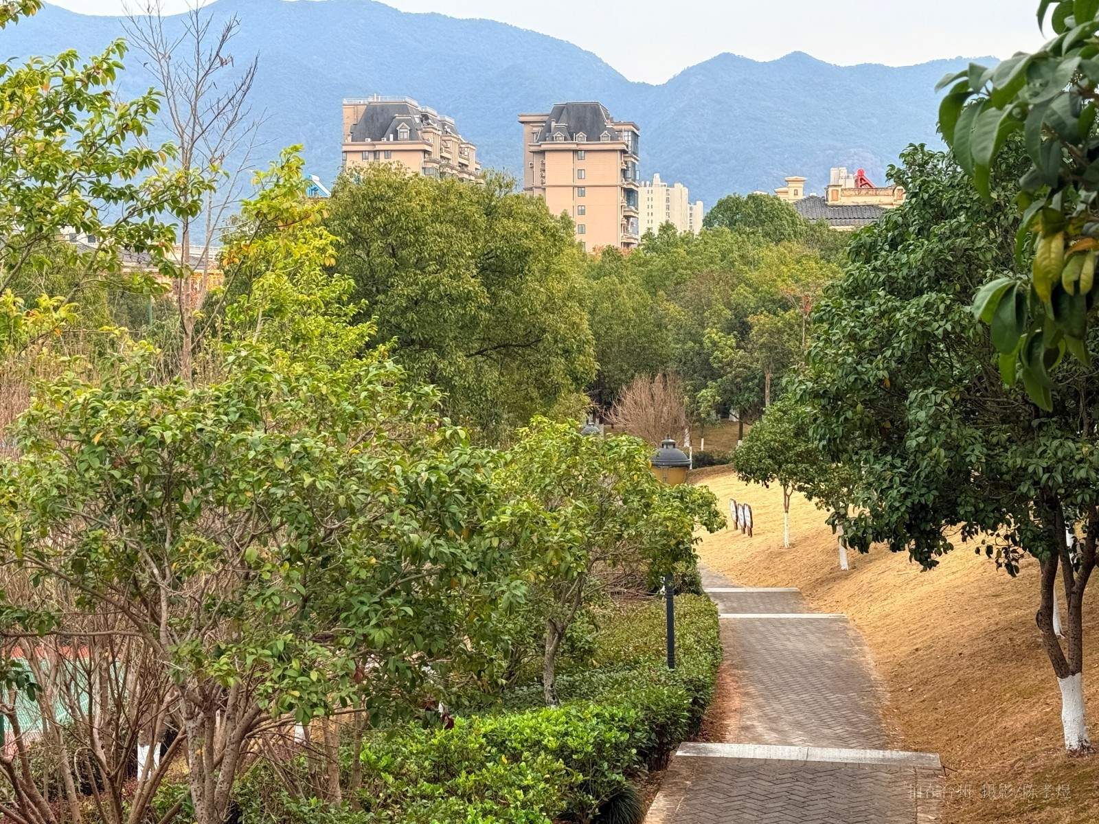 天台杨家山一号公园(图10) 天台杨家山一号公园(图10)