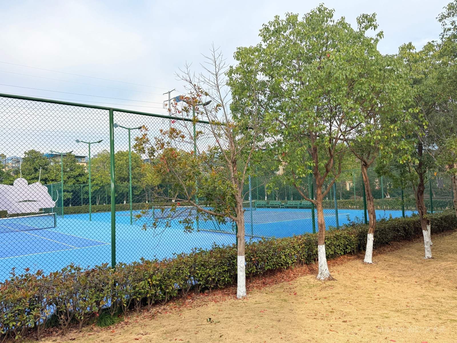 天台杨家山一号公园(图7) 天台杨家山一号公园(图7)