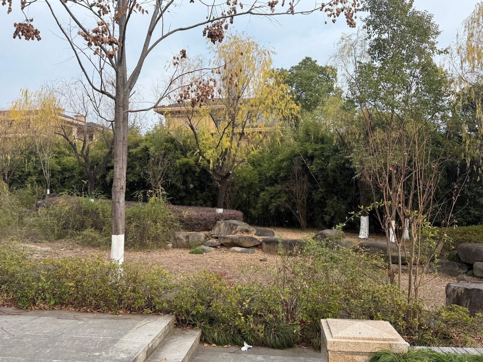 天台杨家山一号公园(图2) 天台杨家山一号公园(图2)