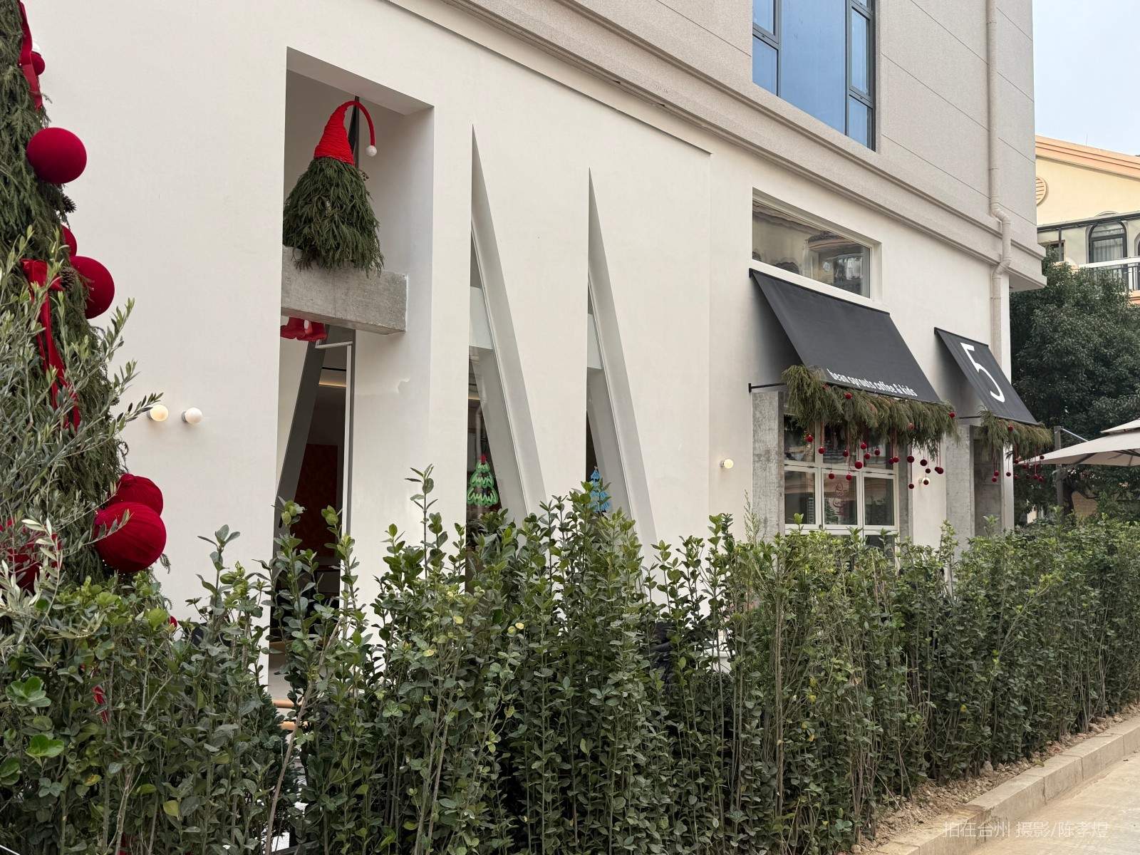 天台百花路豆芽咖啡(图10) 天台百花路豆芽咖啡(图10)