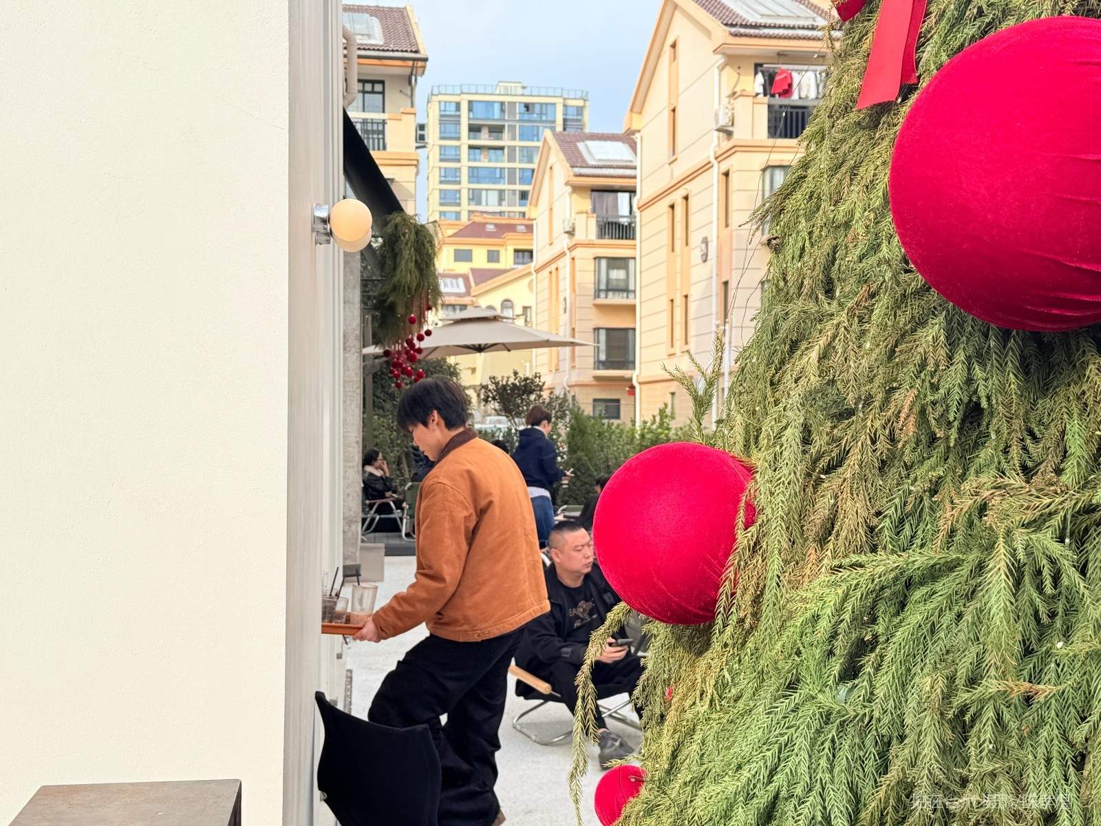 天台百花路豆芽咖啡(图7) 天台百花路豆芽咖啡(图7)