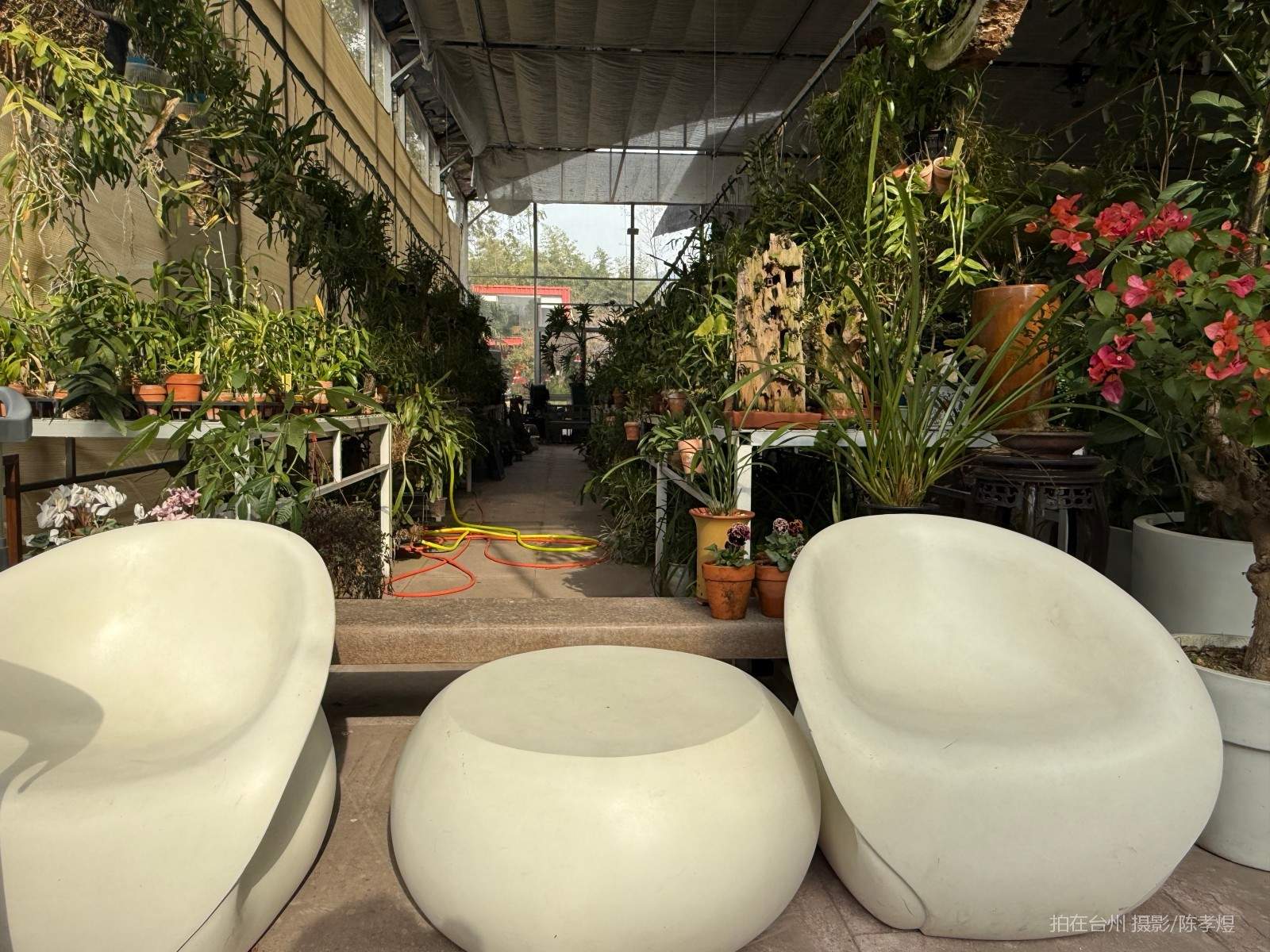 天台工人路梓园农庄(图33)