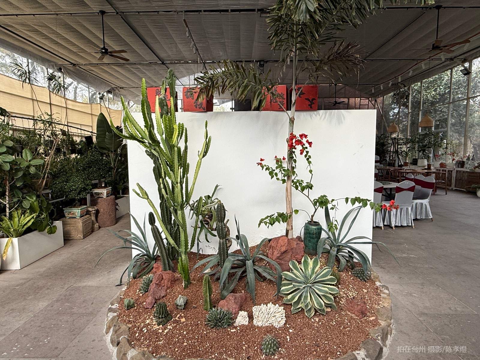 天台工人路梓园农庄(图31)