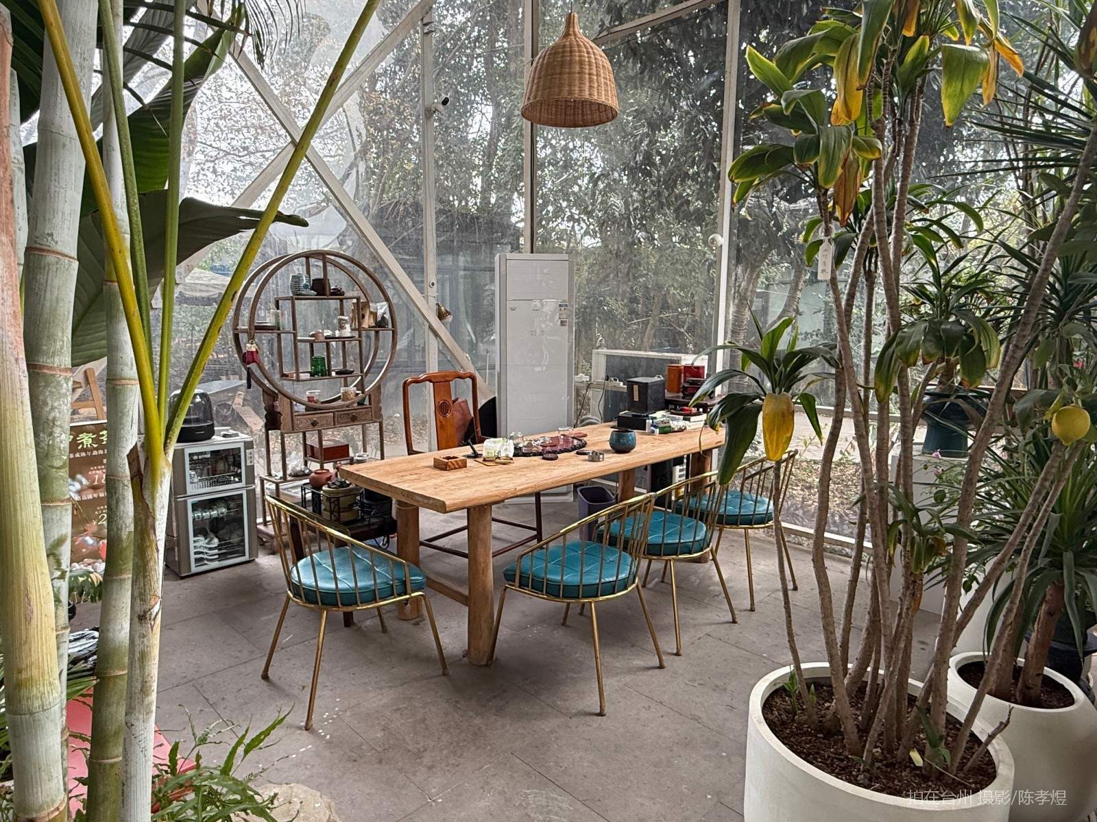 天台工人路梓园农庄(图30)