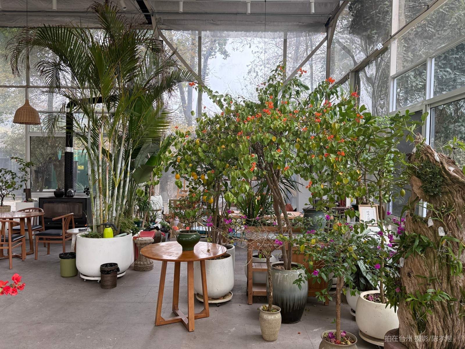 天台工人路梓园农庄(图32)