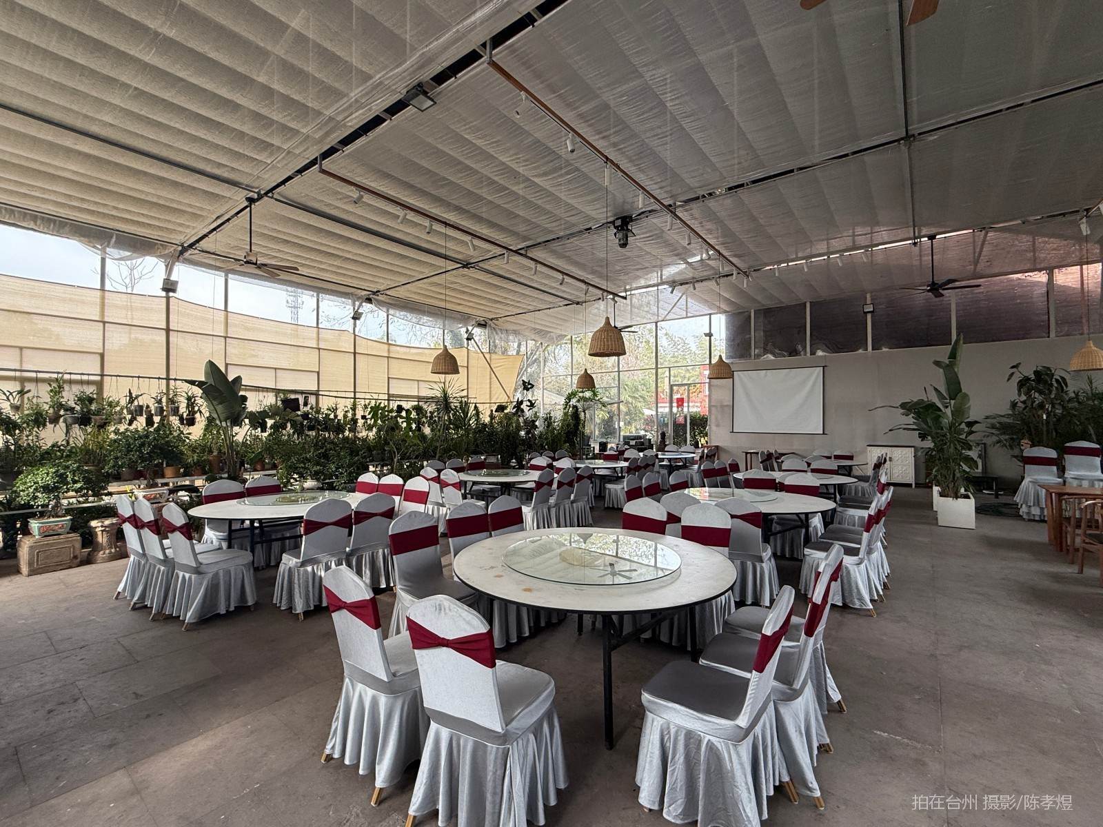 天台工人路梓园农庄(图28)