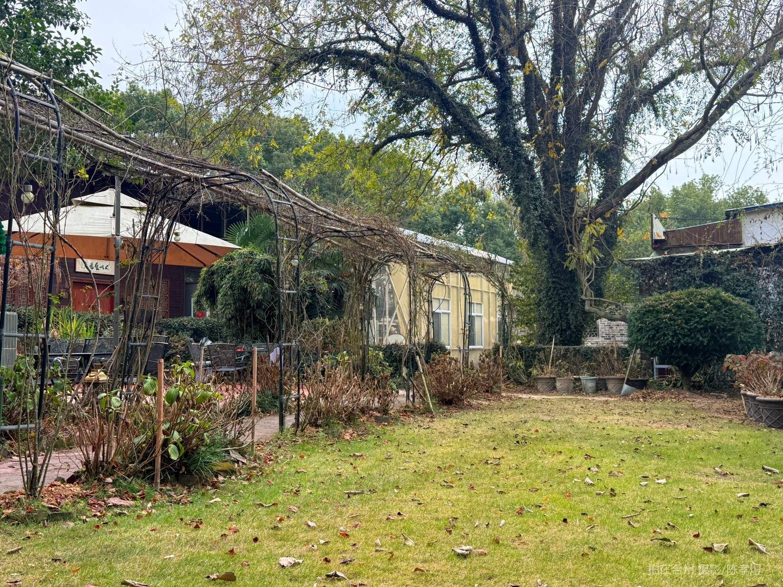 天台工人路梓园农庄(图11)