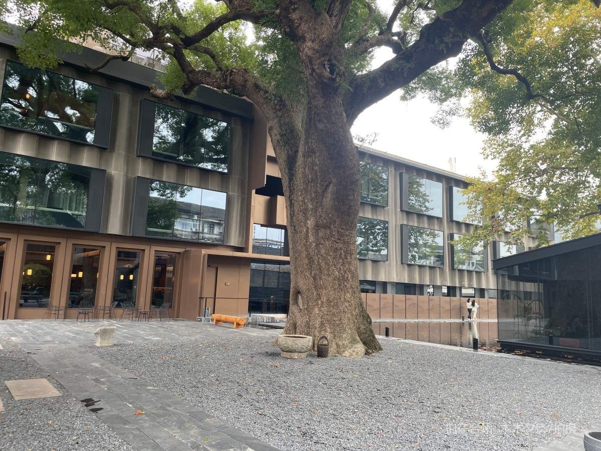 临海市台州府城印酒店（图书、酒吧、茶室、咖啡厅、台球室）(图3)