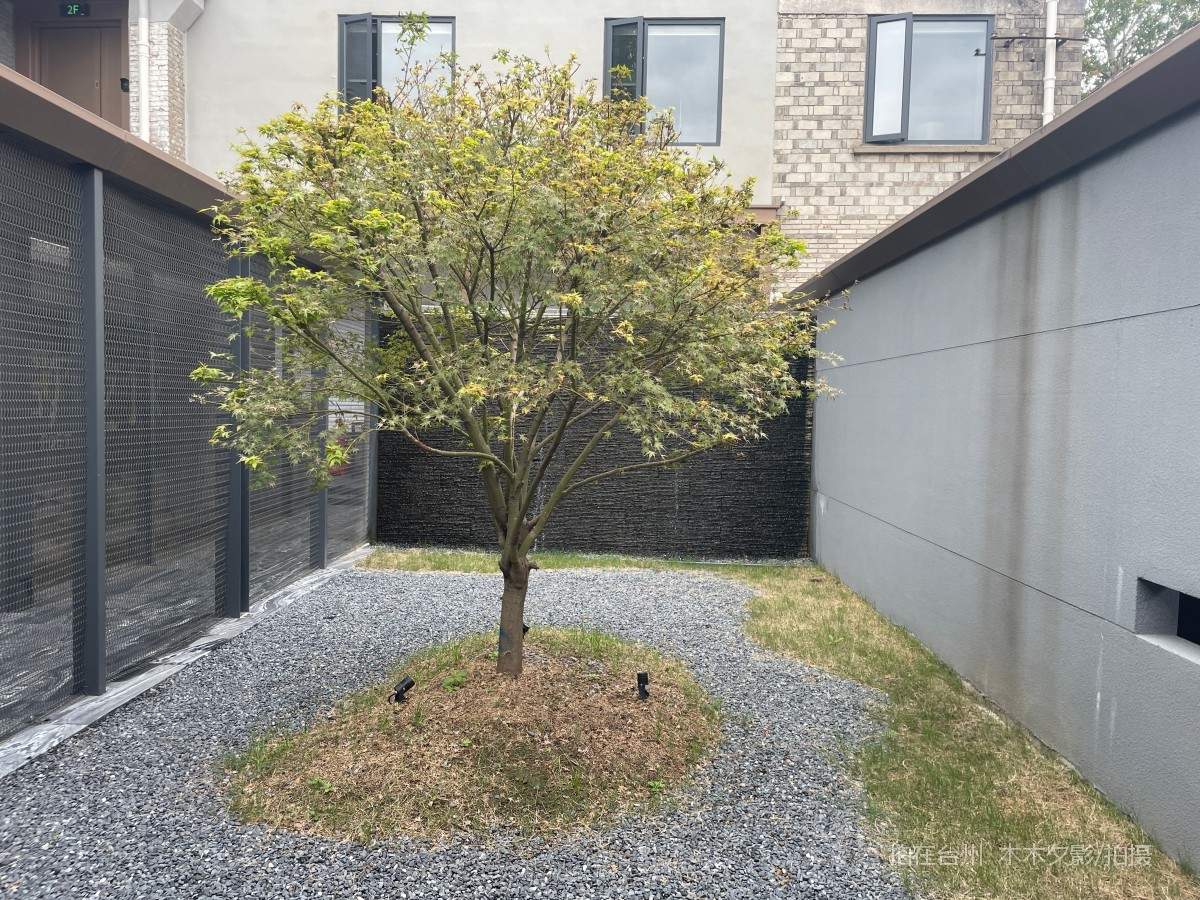 临海市台州府城印酒店（图书、酒吧、茶室、咖啡厅、台球室）(图7)