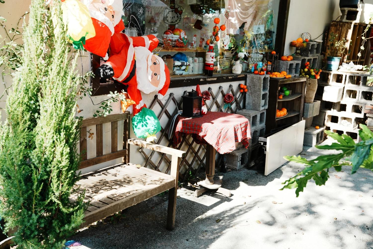 仙居县安州街道黄桥村58号大树下甜品店(图15)