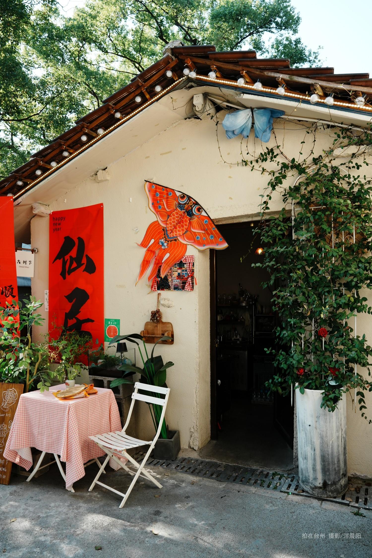仙居县安州街道黄桥村58号大树下甜品店(图14)