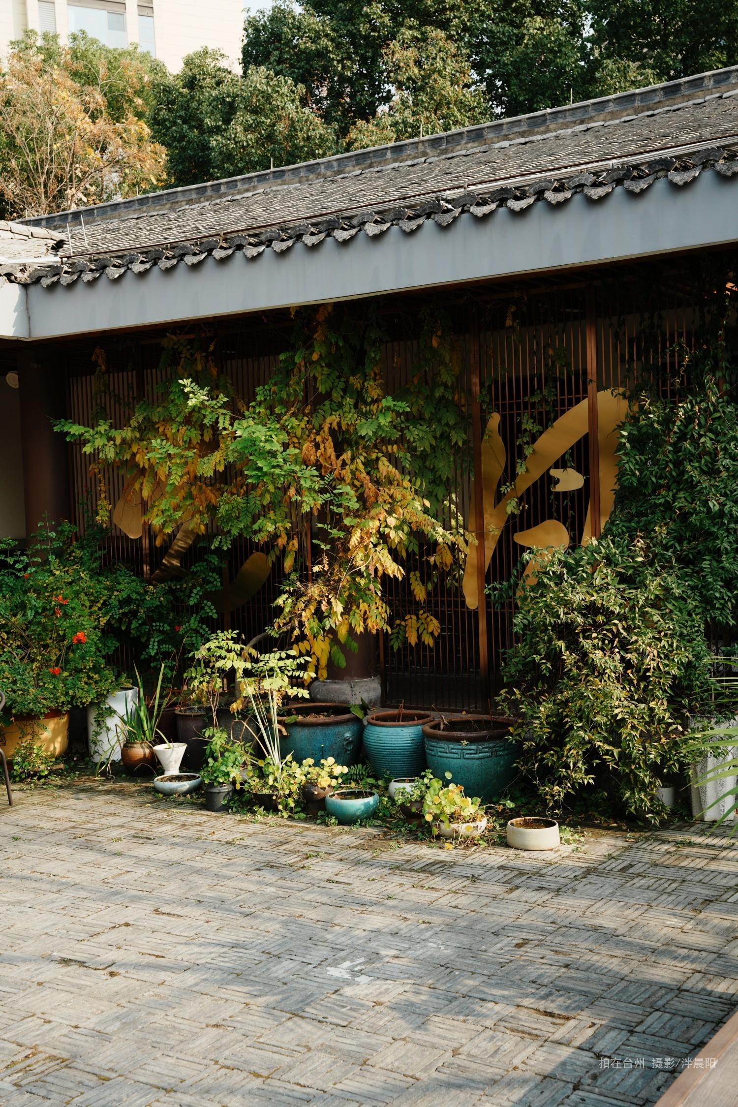 仙居环城南路交叉口先风茶咖(图11)