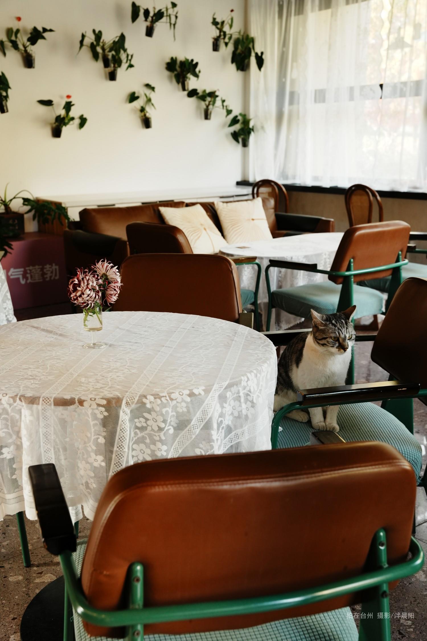 仙居环城南路交叉口先风茶咖(图6)