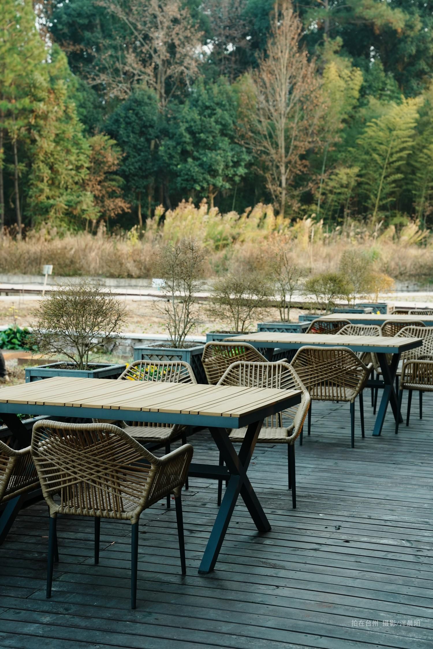 仙居感德村栖野露营(图4)