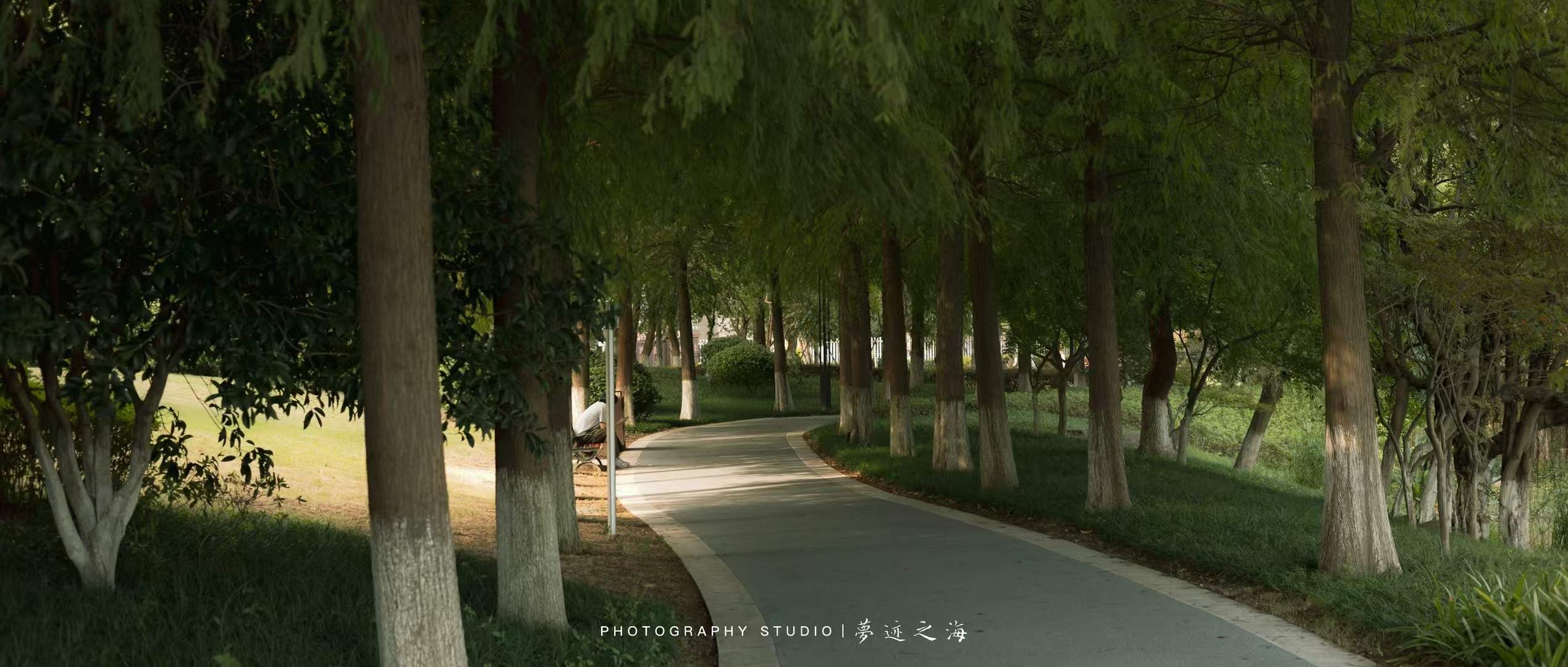 大麦屿庆澜公园绿道治愈森林(图1)