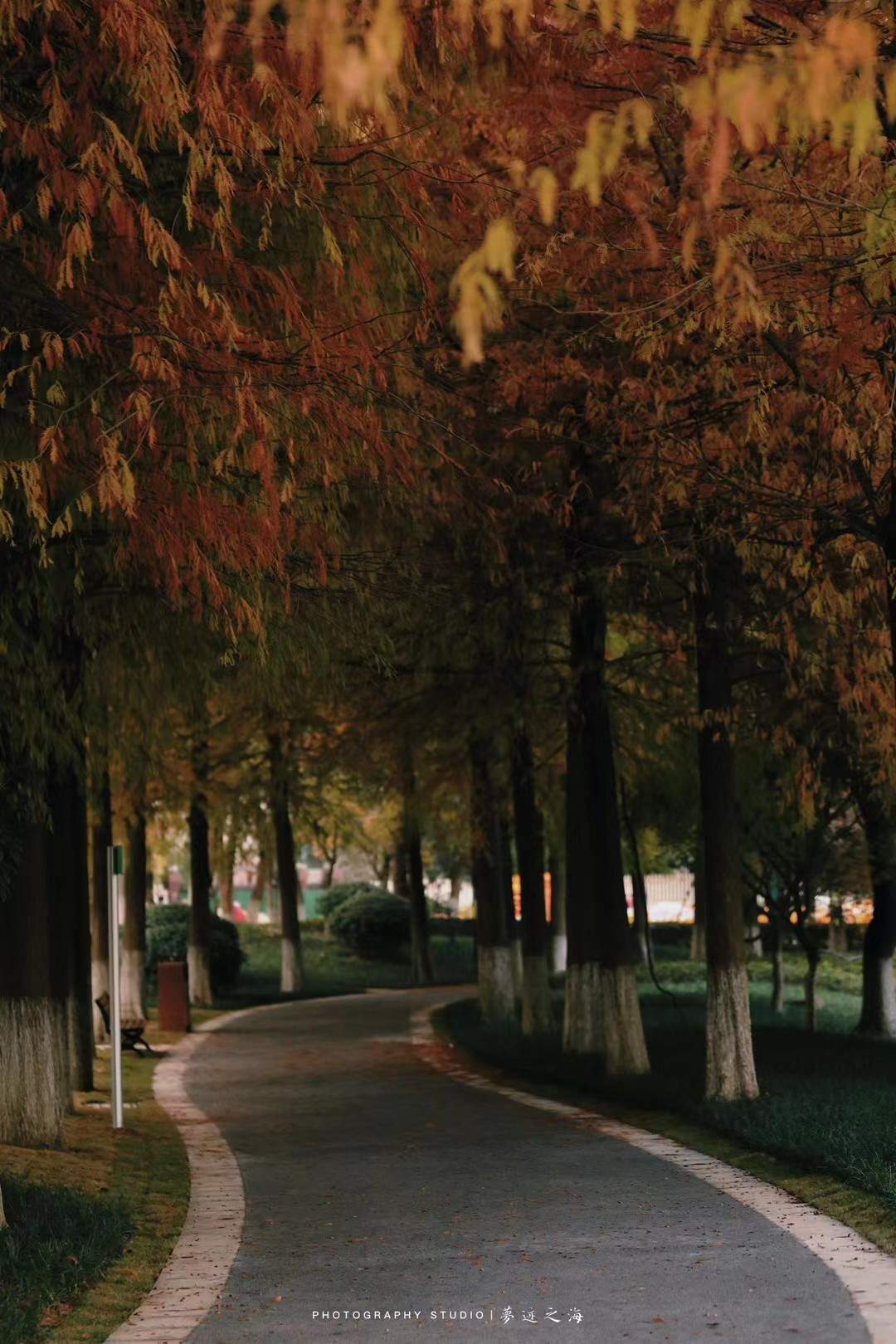 大麦屿庆澜公园绿道治愈森林(图6)