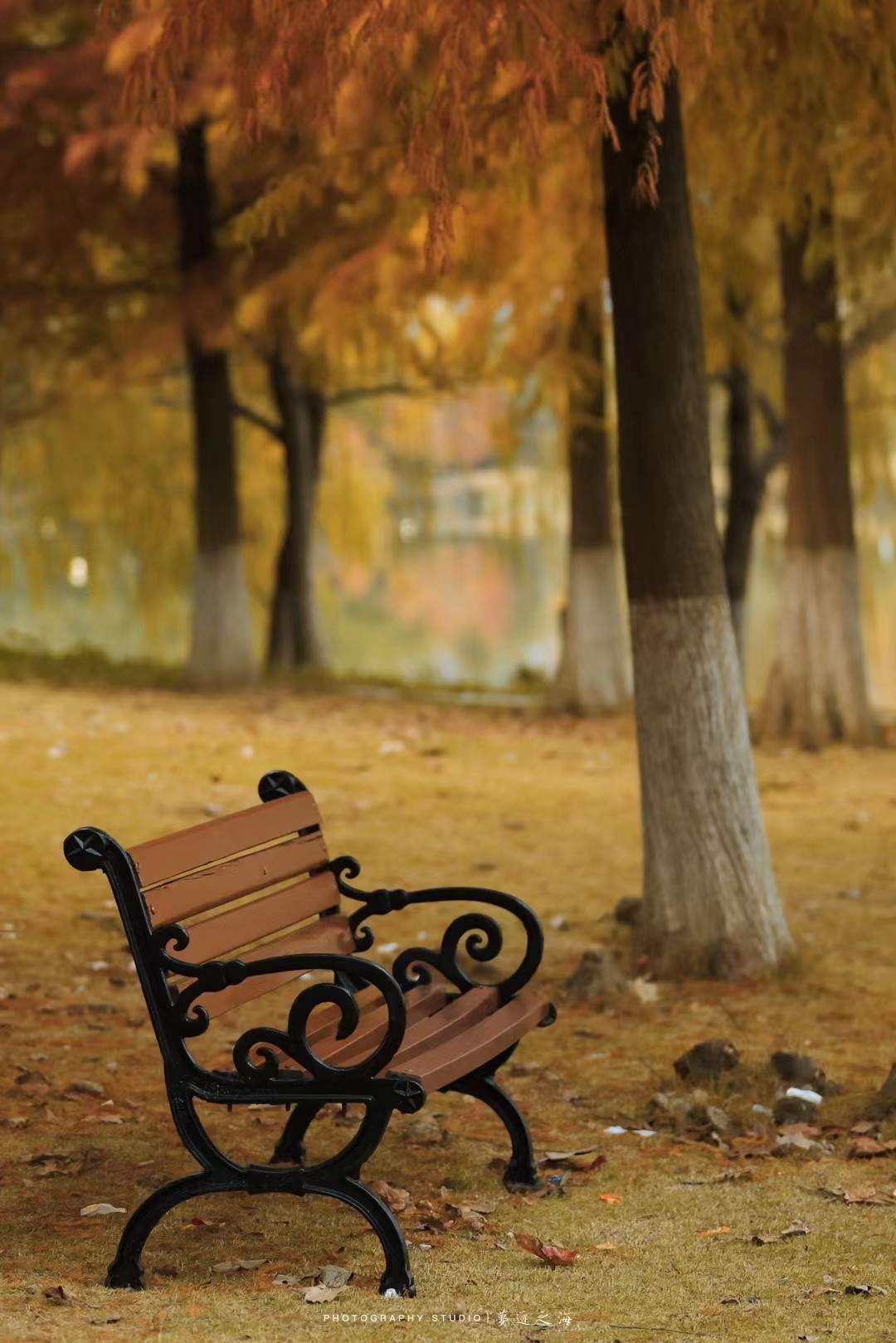 大麦屿庆澜公园绿道治愈森林(图4)