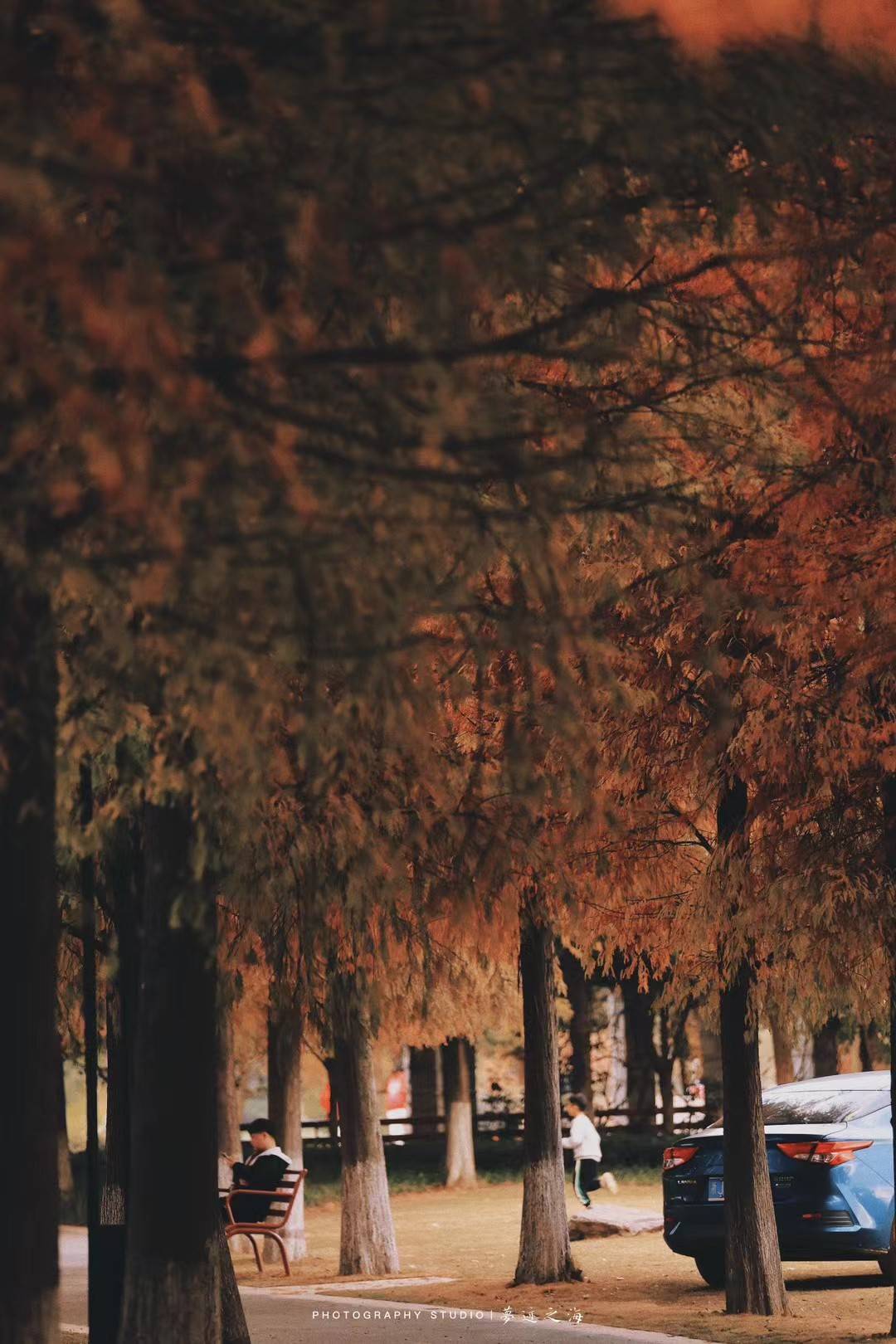 大麦屿庆澜公园绿道治愈森林(图5)