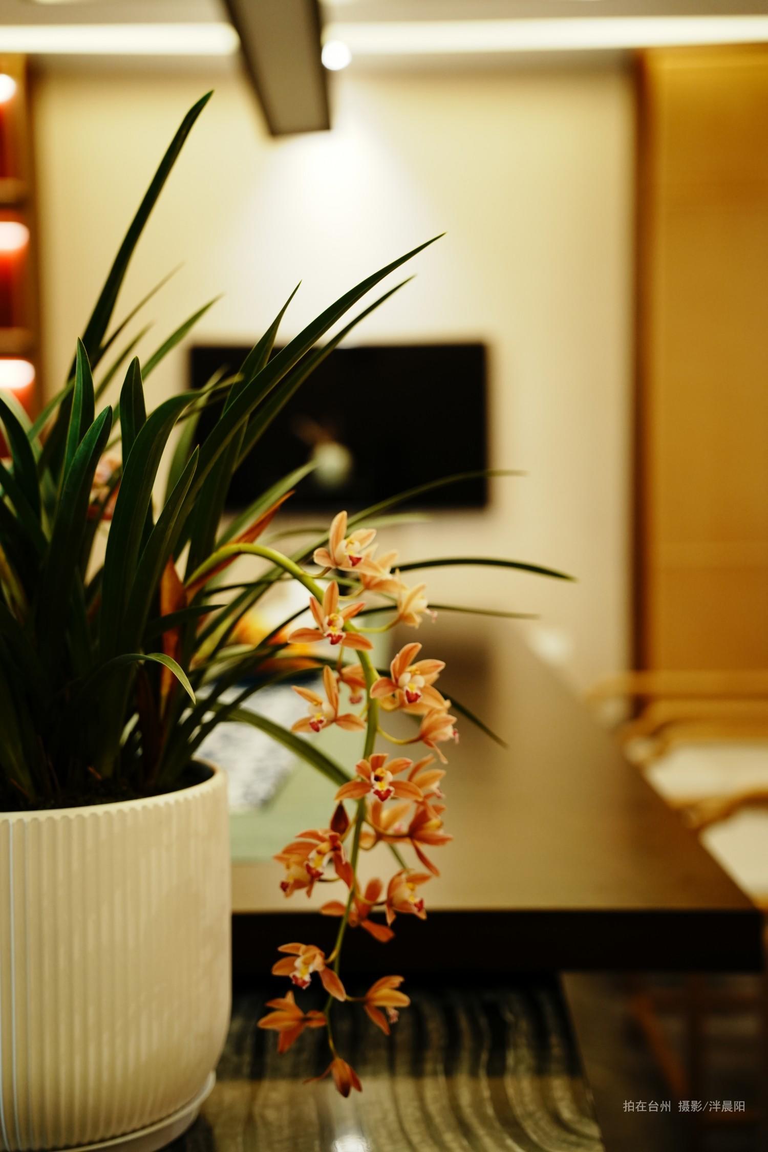 仙居神仙居君澜度假酒店(图25)