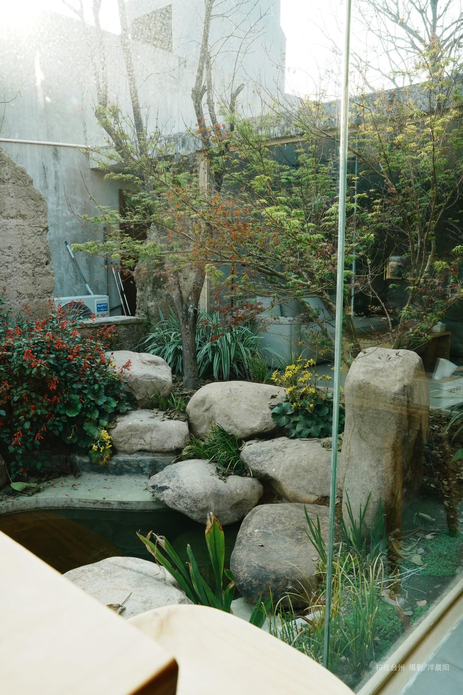 仙居仙景村青溯咖啡(图6)