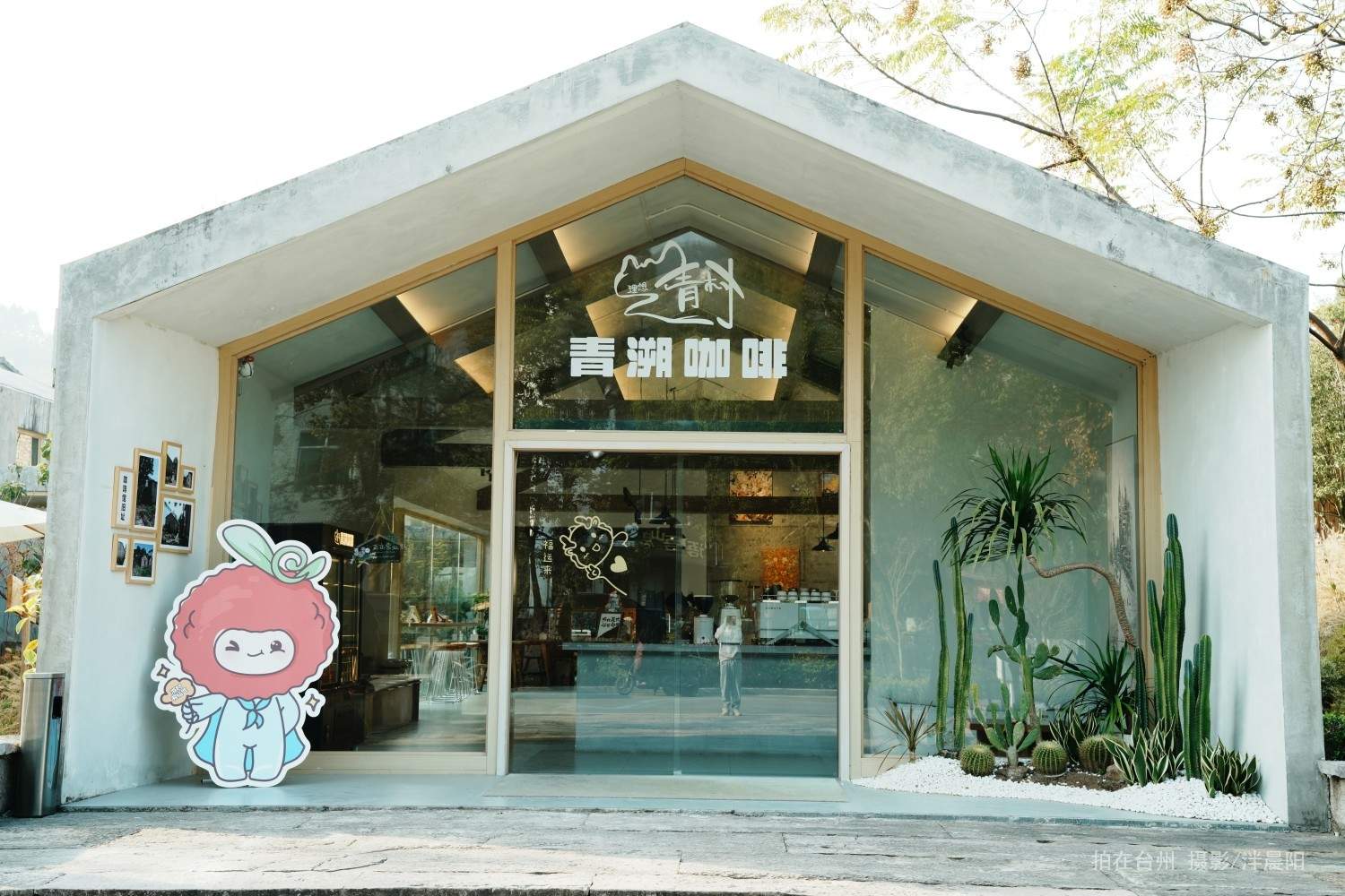 仙居仙景村青溯咖啡