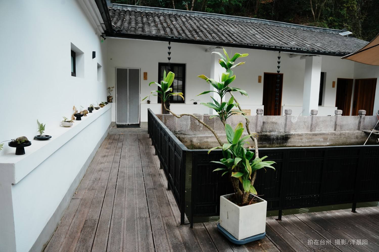 仙居双狮村双溪苔痕里民宿