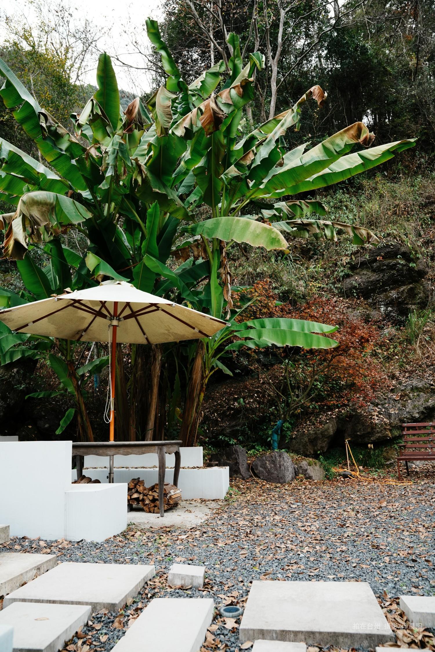 仙居双狮村双溪苔痕里民宿(图21)