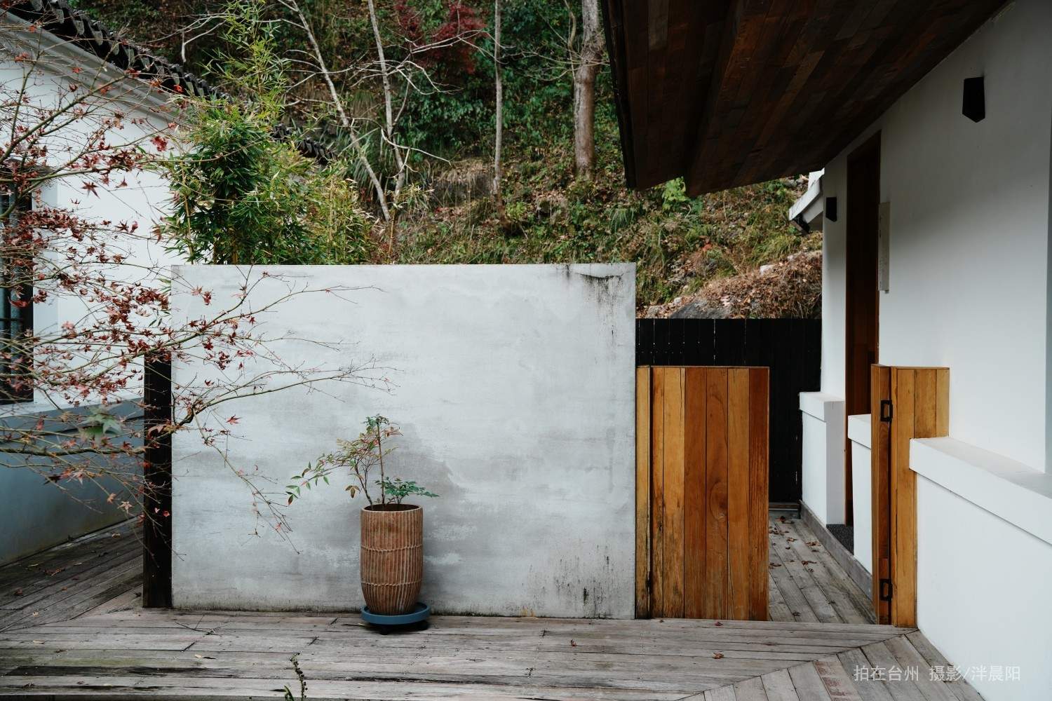 仙居双狮村双溪苔痕里民宿(图12)