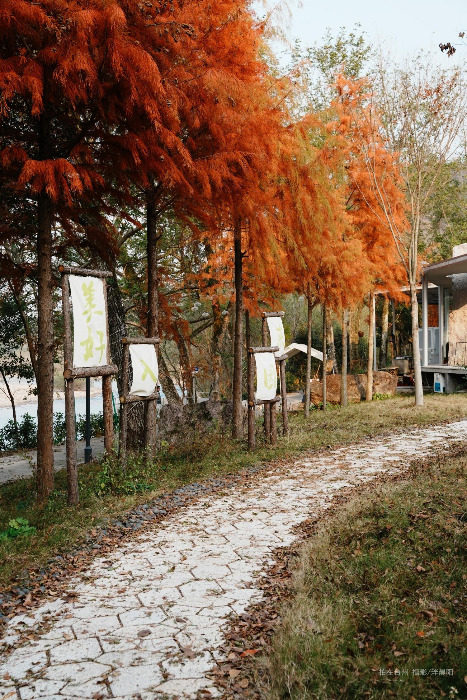 仙居西门村鹭溪咖啡机车驿站(图7)